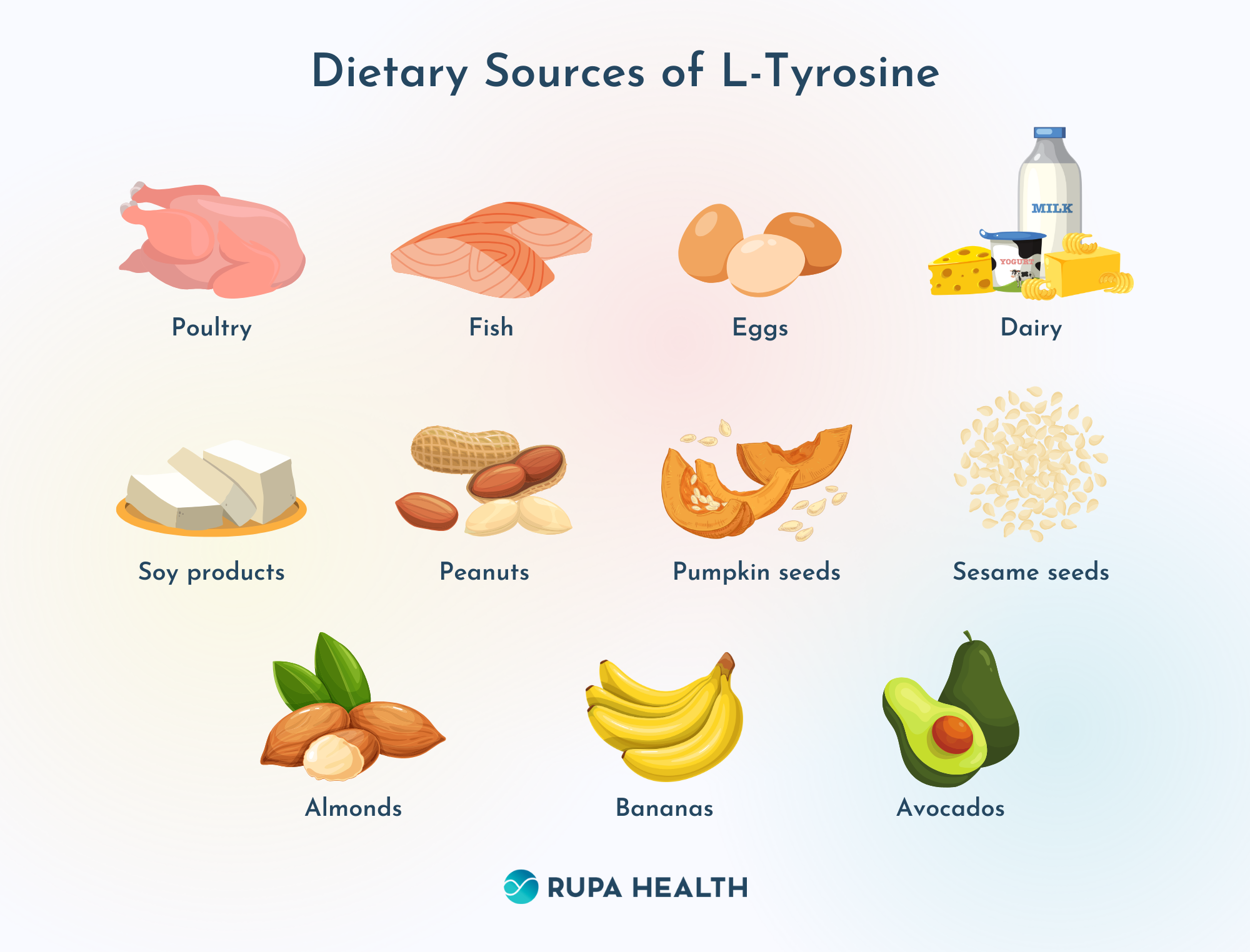 L Tyrosine Supplementation Supporting Thyroid Health And Adrenal Function L Tyrosine Supplementation Supporting Thyroid Health And Adrenal Function
